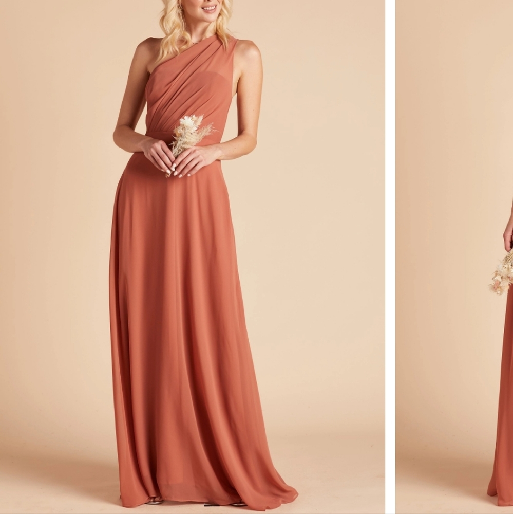 BirdyGrey Kira Bridesmaid Dress Terracotta S